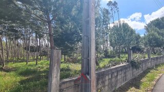 Terreno de 15 000 m² em Leiria