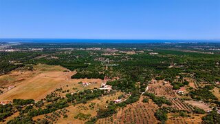 Terreno · 38 777 m² · 1 400 000 €