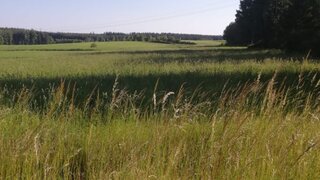 Alttag