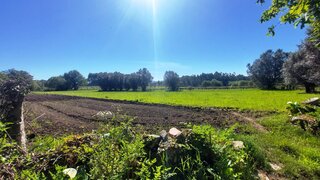 Terreno de 2000 m² em Viana do Castelo