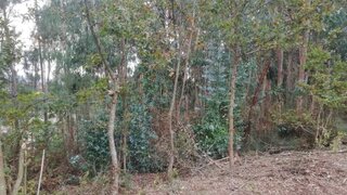 Terreno de 1550 m² em Viana do Castelo