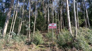 Terreno de 2000 m² em Viana do Castelo