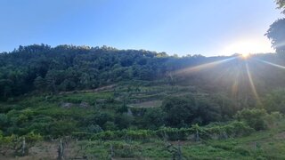 Land for sale in Baião, Portugal — €30,000