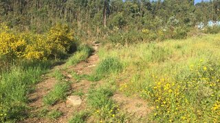 Terreno em Viana do Castelo · 7858 m² · 133 000 €