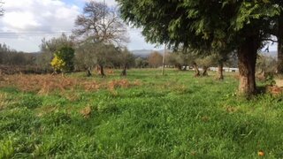 Land for sale in Viana do Castelo, Portugal — €120,000