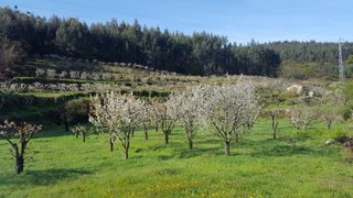 Land for sale in Cinfães, Portugal — €29,500