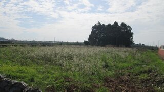 Land for sale in Póvoa de Varzim, Portugal — €267,500