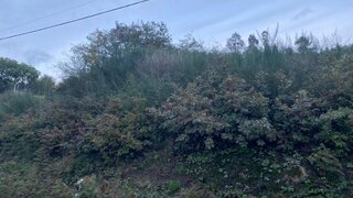 Land for sale in Baião, Portugal — €27,500