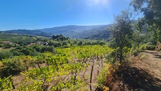Land for sale in Baião, Portugal — €37,500