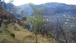 Land for sale in Cinfães, Portugal — €82,000