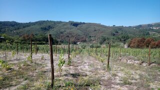 Land for sale in Baião, Portugal — €80,000