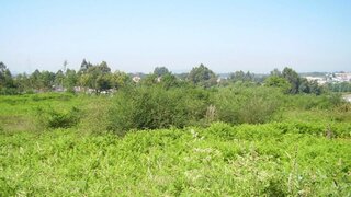 Terreno de 15 145 m² em Viana do Castelo