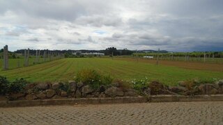 Land for sale in Trofa, Portugal — €67,500