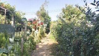 Land for sale in Viana do Castelo, Portugal — €120,000