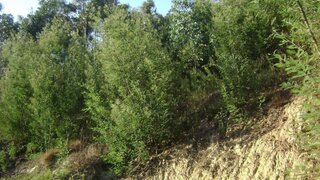 Land for sale in Marco de Canaveses, Portugal — €100,000