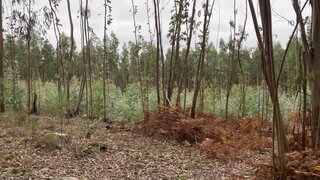 Land for sale in Marco de Canaveses, Portugal — €60,000