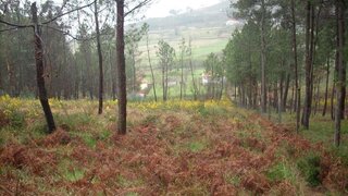 Land for sale in Baião, Portugal — €42,000