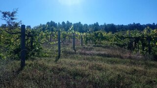 Land for sale in Marco de Canaveses, Portugal — €110,000