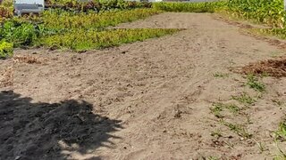 Terreno de 7140 m² em Viana do Castelo