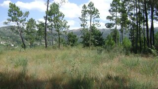 Land for sale in Marco de Canaveses, Portugal — €45,000