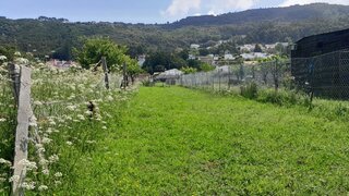 Land for sale in Caminha, Portugal — €45,500
