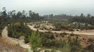 Land for sale in Marco de Canaveses, Portugal — €200,000