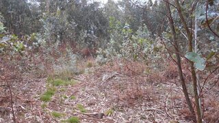 Terreno de 1820 m² em Viana do Castelo