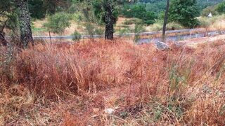 Land for sale in Baião, Portugal — €32,500
