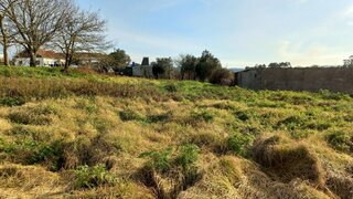 Terreno em Viana do Castelo · 1663 m² · 110 000 €