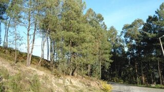 Land for sale in Marco de Canaveses, Portugal — €127,500