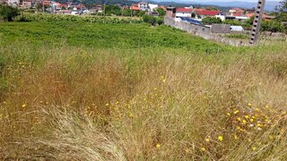 Land for sale in Valença, Portugal — €72,500
