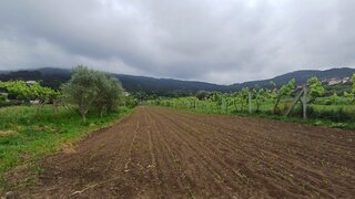 Land for sale in Caminha, Portugal — €70,000