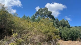 Land for sale in Viana do Castelo, Portugal — €77,000