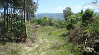 Land for sale in Baião, Portugal — €22,500