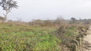 Land for sale in Vila do Conde, Portugal — €3,000,000