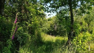 Land for sale in Marco de Canaveses, Portugal — €26,000