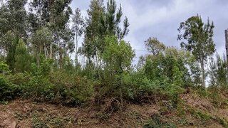Land for sale in Caminha, Portugal — €120,000