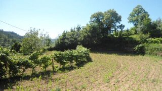 Land for sale in Cinfães, Portugal — €15,000