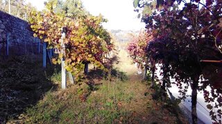Land for sale in Marco de Canaveses, Portugal — €29,500