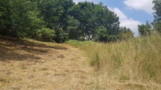 Land for sale in Marco de Canaveses, Portugal — €42,000