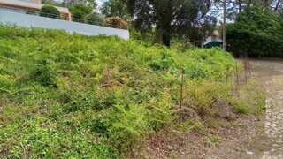 Land for sale in Caminha, Portugal — €87,000