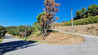 Land for sale in Baião, Portugal — €74,500