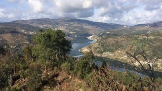 Land for sale in Cinfães, Portugal — €80,000