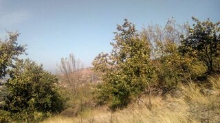 Land for sale in Marco de Canaveses, Portugal — €51,000