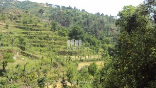 Land for sale in Marco de Canaveses, Portugal — €65,000
