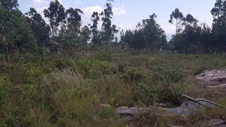 Land for sale in Marco de Canaveses, Portugal — €25,000