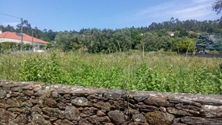 Land for sale in Viana do Castelo, Portugal — €117,000
