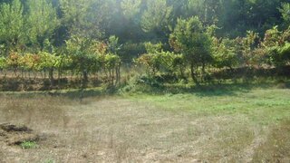 Land for sale in Marco de Canaveses, Portugal — €30,000