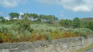 Land for sale in Baião, Portugal — €85,000
