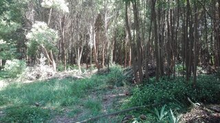 Land for sale in Caminha, Portugal — €100,000